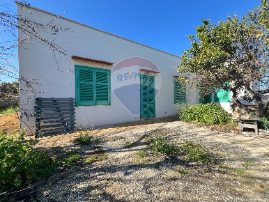 Foto Casa indipendente a Monopoli di 70 m² con 3 locali in vendita