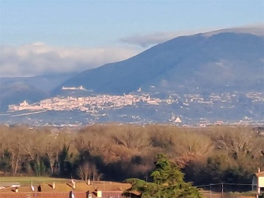 Foto Casa indipendente a Torgiano di 190 m² con 6 locali in vendita