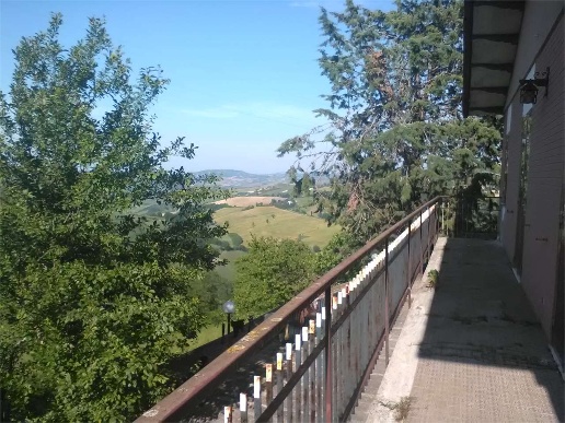 immagine annuncio 9 di 12