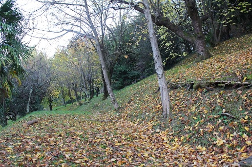 immagine annuncio 10 di 12