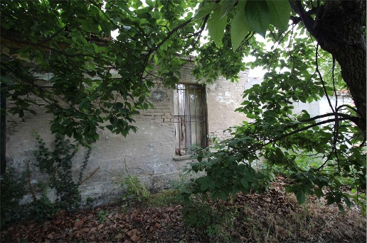 immagine annuncio 3 di 6