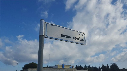 immagine annuncio 7 di 12