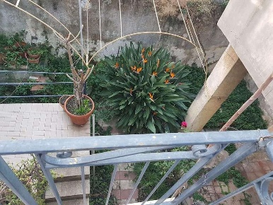 Foto Casa indipendente in Via Paterno di San Giuliano, Giarre in vendita