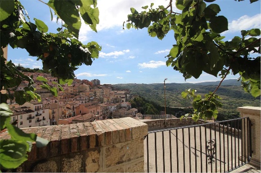 immagine annuncio 12 di 14