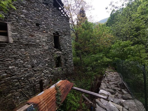 immagine annuncio 11 di 15