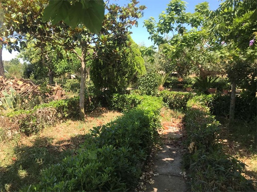 immagine annuncio 6 di 9