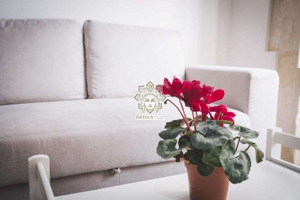 Foto Case indipendenti in Via dei miracoli 28, Siracusa Ortigia di 120 m²