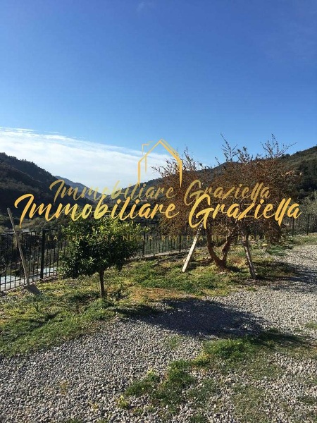 immagine annuncio 4 di 6