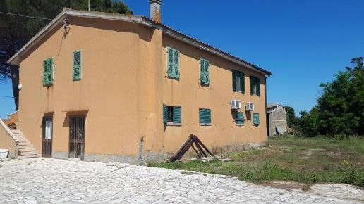 immagine annuncio 1 di 6