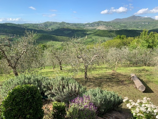 immagine annuncio 9 di 12