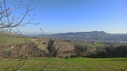 immagine annuncio 2 di 3