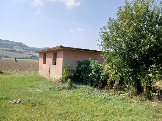 immagine annuncio 5 di 9