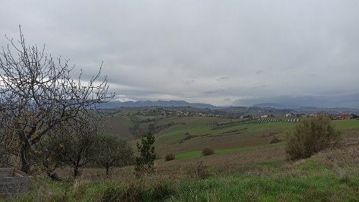 Foto Casa indipendente a Falerone in vendita
