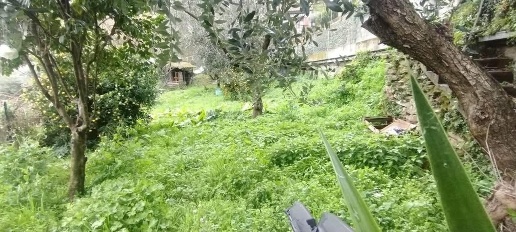 Foto Casa indipendente a Montignoso Capanne, Prato di 120 m² con 5 locali