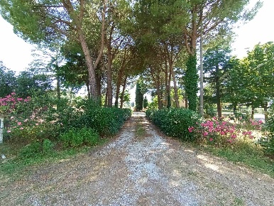 Foto Appartamento a Verucchio di 157 m² con 6 locali in vendita