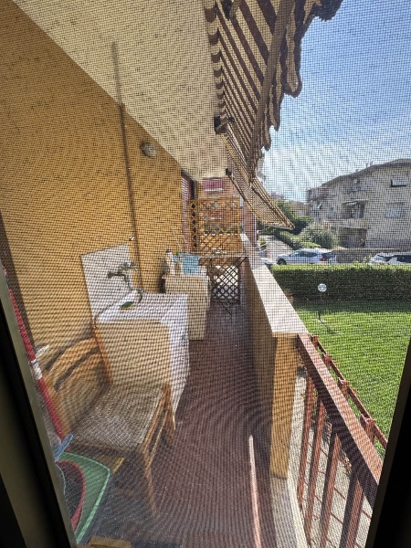 immagine annuncio 3 di 9