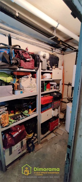 immagine annuncio 9 di 13