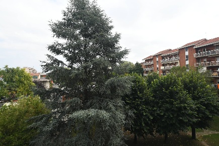 Foto Appartamento in Via San Giacomo, Alessandria Cristo di 120 m²