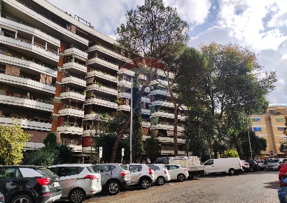 Foto Box in Via Paola Falconieri, Roma in vendita