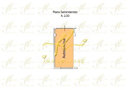 Foto Box a Livorno in vendita