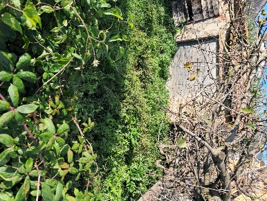 Foto Box a Bientina Centro di 25 m² con 2 locali in vendita