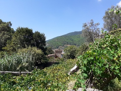 Foto Box a Calci in vendita