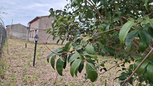 Foto Box a San Giuliano Terme in vendita