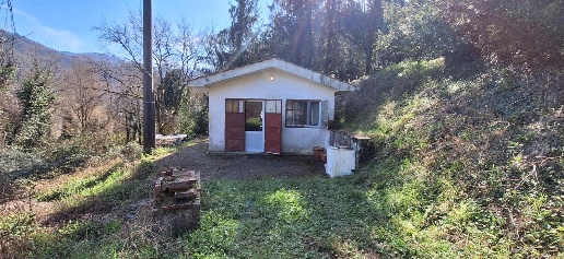 immagine annuncio 1 di 8