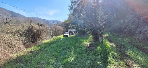 immagine annuncio 2 di 8