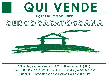 Foto Box a Peccioli in vendita