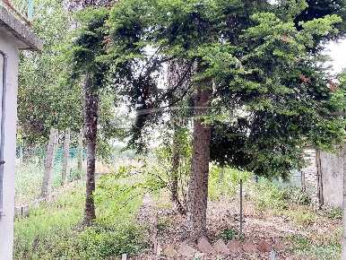 Foto Casa indipendente a Mondolfo di 127 m² con 9 locali in vendita