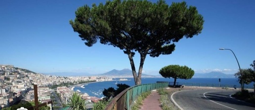 immagine annuncio 3 di 7