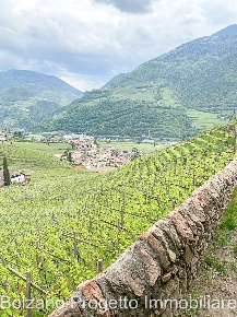 Foto Appartamento a Bolzano di 100 m² con 3 locali in affitto
