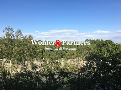 Foto Appartamento in L.go Tevere dei Mellini 33, Roma in affitto