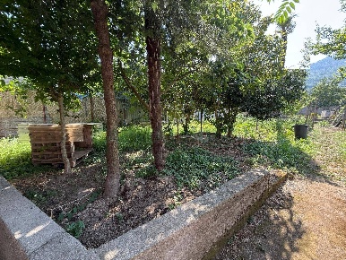 Foto Casa indipendente a Montoro Piano di 120 m² con 4 locali in vendita