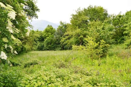 Foto Terreno agricolo a Vittorio Veneto di 11201 m² in vendita