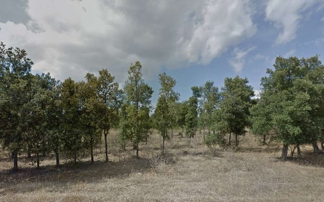 Foto Terreno agricolo in st dei canadesi snc, Assemini di 14000 m²