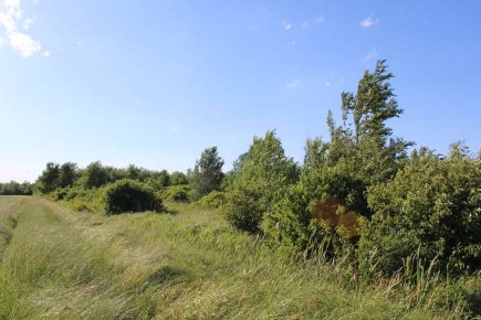 Foto Terreno edificabile in Via Panini, Cadelbosco di Sopra di 12868 m²