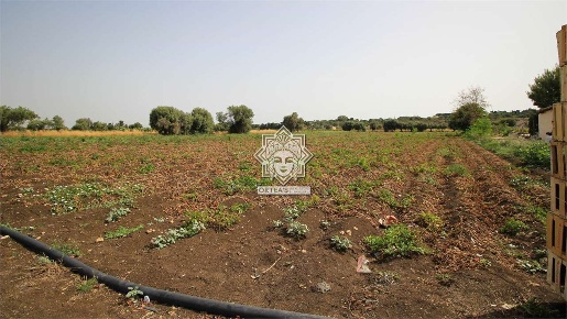 Foto Terreno agricolo in strada capo murro di porco, Siracusa Plemmirio