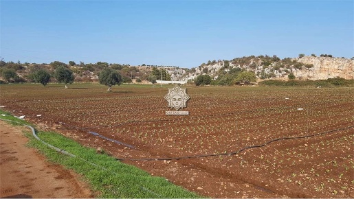 Foto Terreno agricolo in SP 38, Noto in vendita