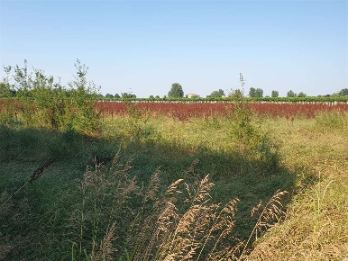 Foto Terreno agricolo a Reggio nell'Emilia di 33000 m² in vendita