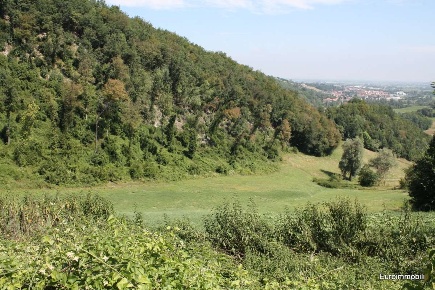 Foto Terreno agricolo in Strada Provinciale 17, Traversetolo in vendita