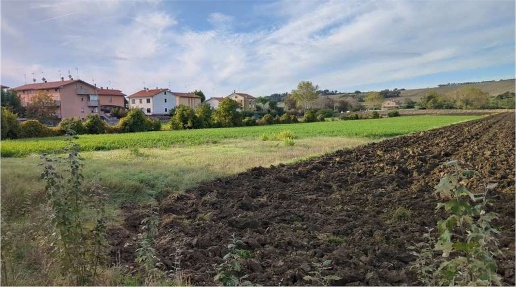 Foto Terreno edificabile in Via Ugo Betti snc, Mondolfo di 5191 m²