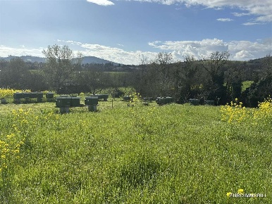 Foto Terreno agricolo in Strada Case Rotte, Traversetolo di 14080 m²