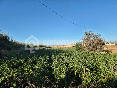 Foto Terreno agricolo a Casalnuovo di Napoli di 2100 m² in vendita