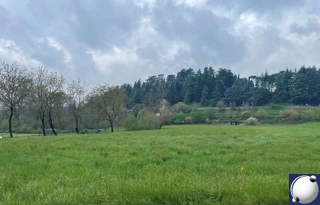 Foto Terreno agricolo in Via Vallassina, Monguzzo di 29095 m² in vendita