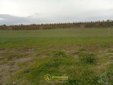 Foto Terreno agricolo in 01100 Viterbo VT Italia, Viterbo in vendita