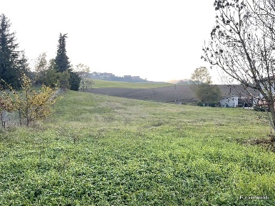 Foto Terreno edificabile in Strada Torrione, Neviano degli Arduini