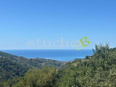 Foto Terreno edificabile in Strada Maciurina snc, Vallebona Centro