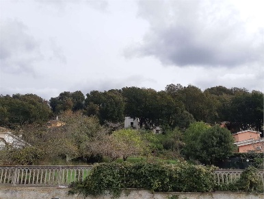 Foto Terreno edificabile in Via Nurachi, Roma Ponte Galeria di 1059 m²